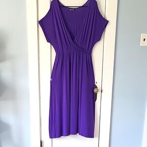 Purple Dress/Swimsuit Cover